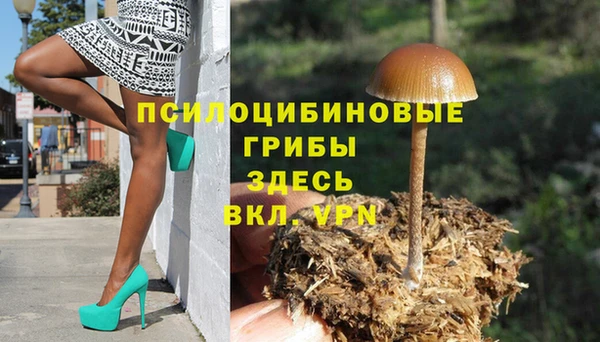 мдма Козловка