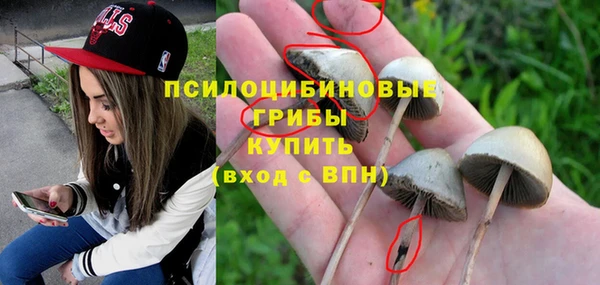 прущие крисы Кущёвская