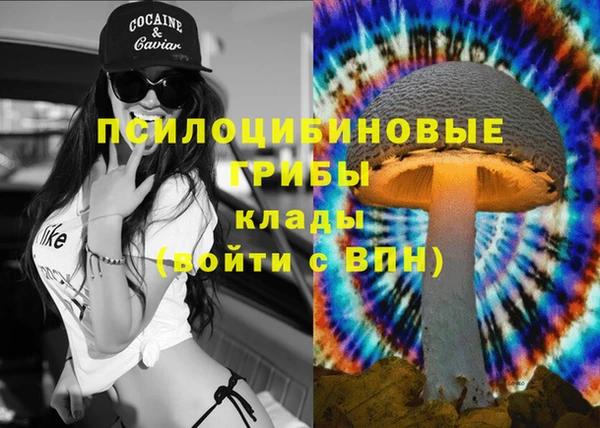СК Кодинск