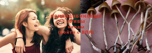 прущий лед Яранск