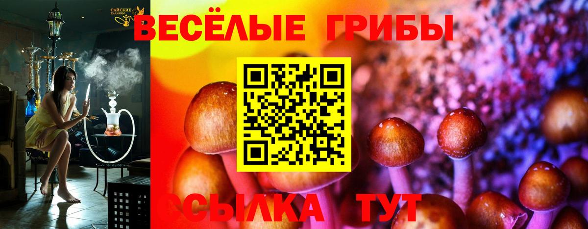 Галлюциногенные грибы прущие грибы  Вход с VPN  Кувандык 